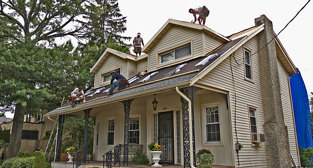 Best Roof Gutter Cleaning  in Hephzibah, GA
